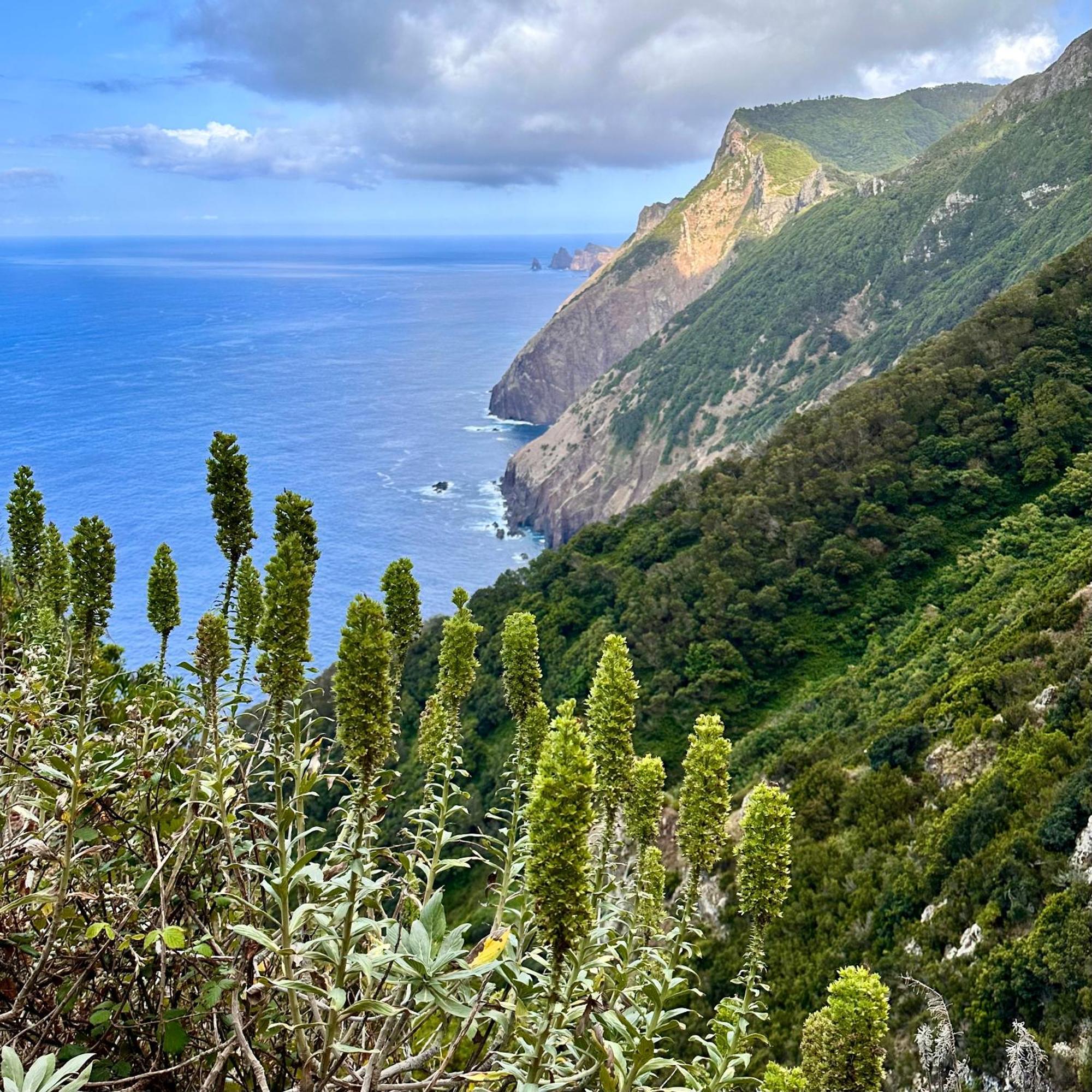 Getaway To Blue Paradise At Madeira Island Funchal  Luaran gambar